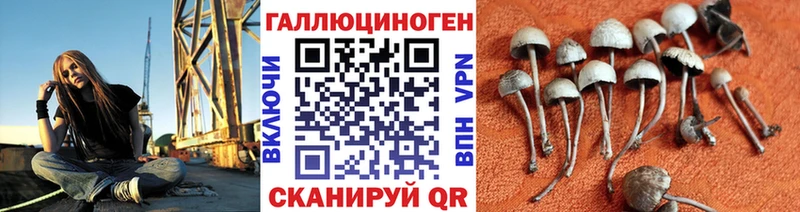 KRAKEN как зайти  Хадыженск  Псилоцибиновые грибы Psilocybe 